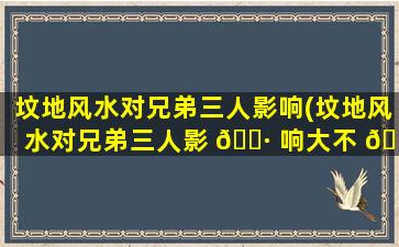 坟地风水对兄弟三人影响(坟地风水对兄弟三人影 🌷 响大不 🐎 大)
